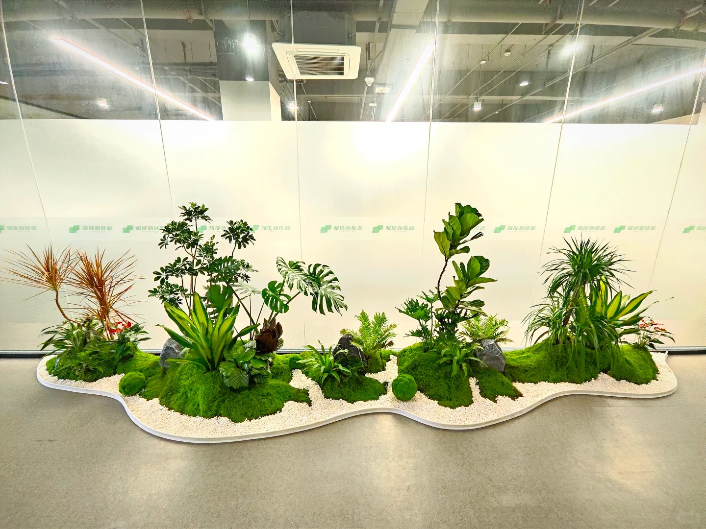 宁波奉化盆景租摆公司 宁波奉化盆景租摆公司